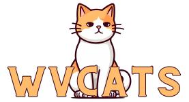 WVCats: Your Guide to Happy Felines in WV